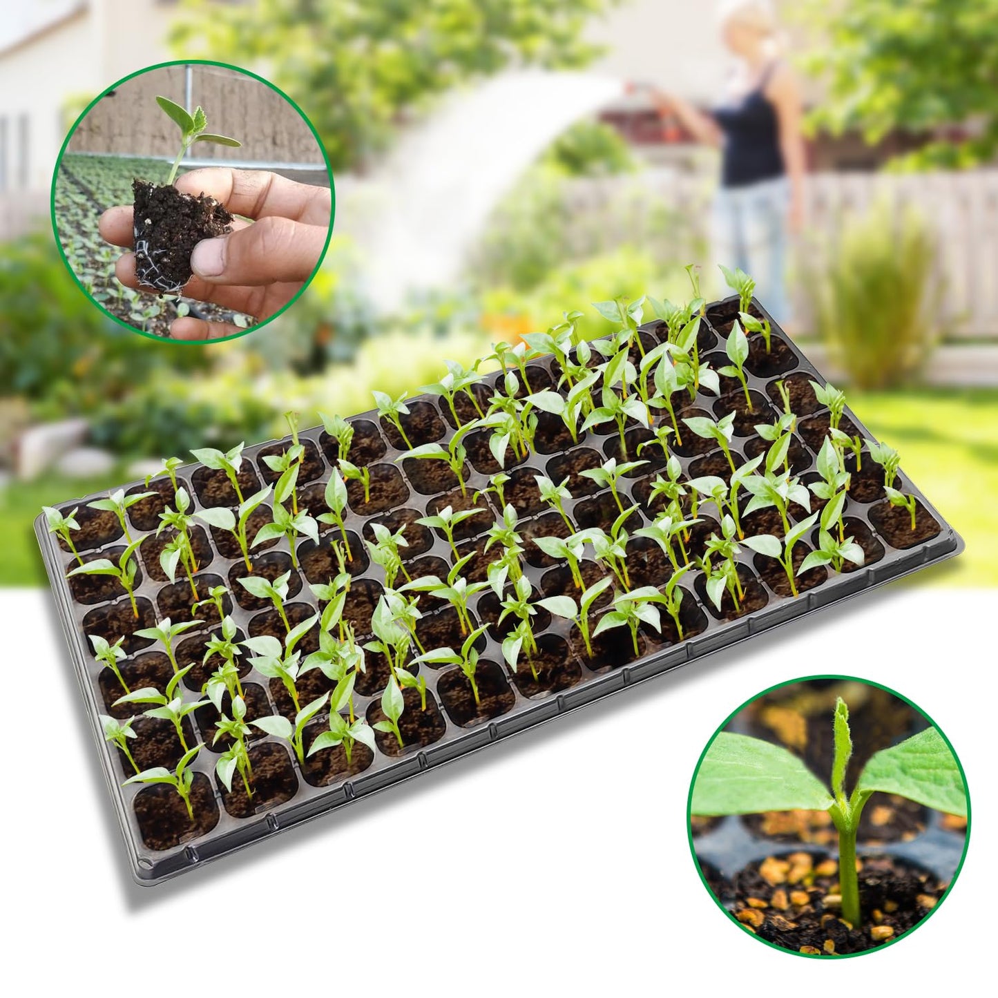 RooTrimmer 10 Pack 1020 Seed Starter Trays and 10 Pcs 72 Cell Plug Trays, Thick Durable Seedling Plastic Nursery Tray for TD538 1020 Tray Germination (10 Sets)