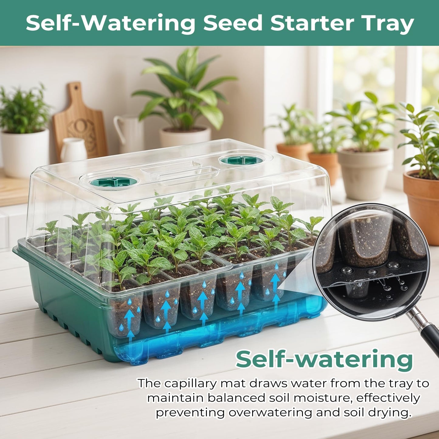 Hanaoyo Self-Watering Seed Starter Tray 2 Packs, 96 Cells Seed Starter Kit with Humidity Vented Domes and High Lid, Germination Kit for Indoor Greenhouse Seed Starter