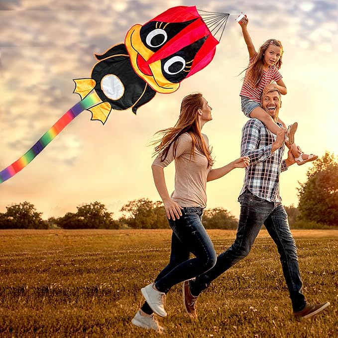 Duck Pattern Kites for Kids, Cute Large Kite Duck Kite with Long Colorful Tail for Kids & Adults, Easy to Fly Kite for Beginners Outdoor Activities