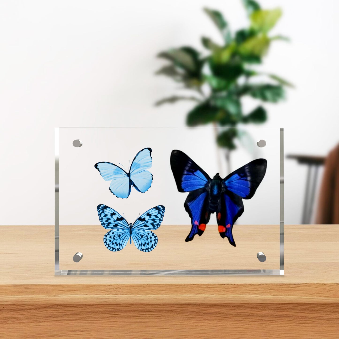 laapee 4x6 Inches Acrylic Picture Frames 3 Pack, Double Sided Magnetic Photo Frames,Free Standing on Desk or Table Clear Picture Frames