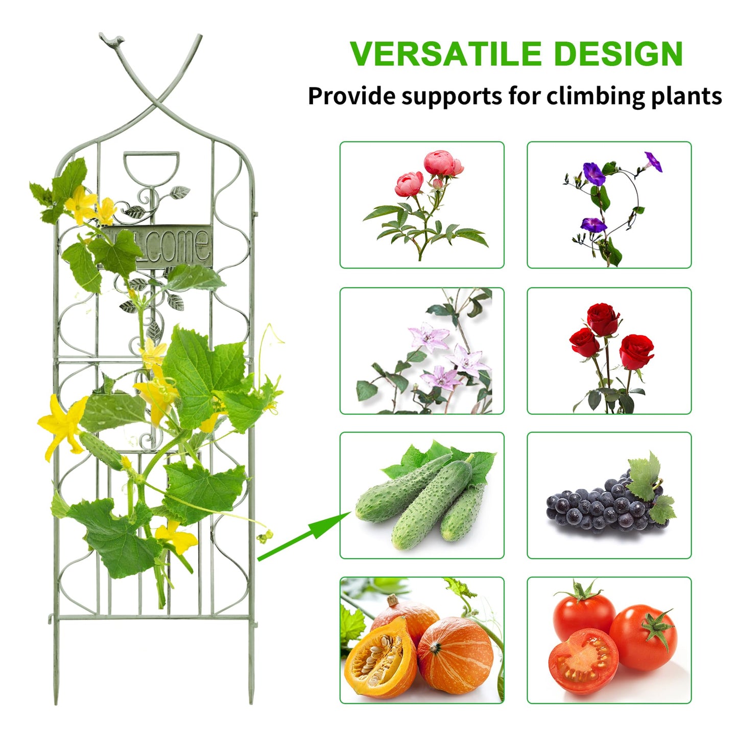 LZRS 2 Pack 59.5 * 18in Rustic Iron Arch Decoration Garden Trellis with Metal Coating – Perfect for Supporting Climbing Plants Outdoor, Roses, Vines, Flowers, and Vegetables, Antique Green