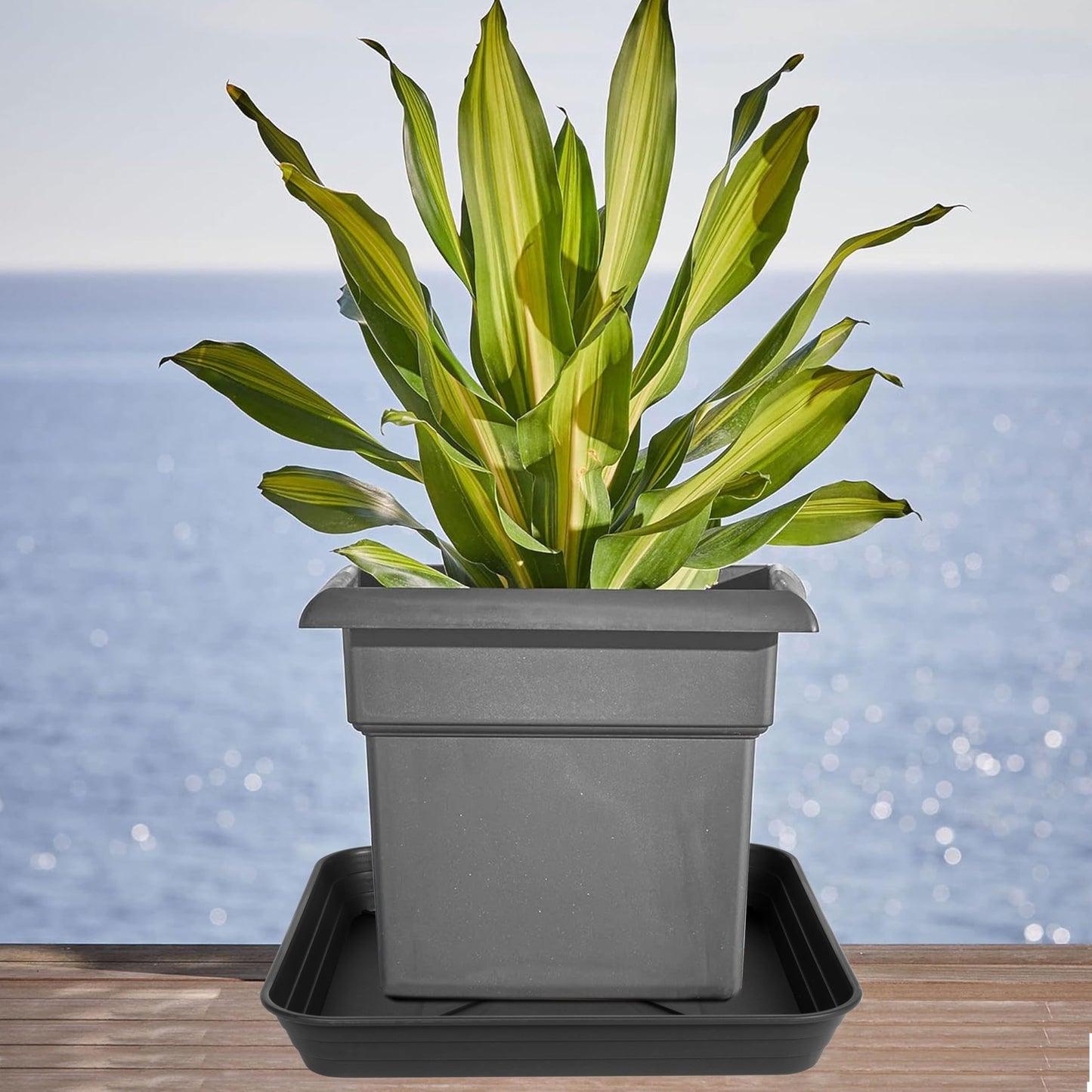 Feyvdzv 4 Pack Square Plant Saucer Tray 8 inch, 6 8 10 12 14 16 18 20 inch Heavy Duty Plastic Square Plant Saucers for Indoors Outdoor, Flower Planter Drip Trays for Pots, Seed Starting Tray