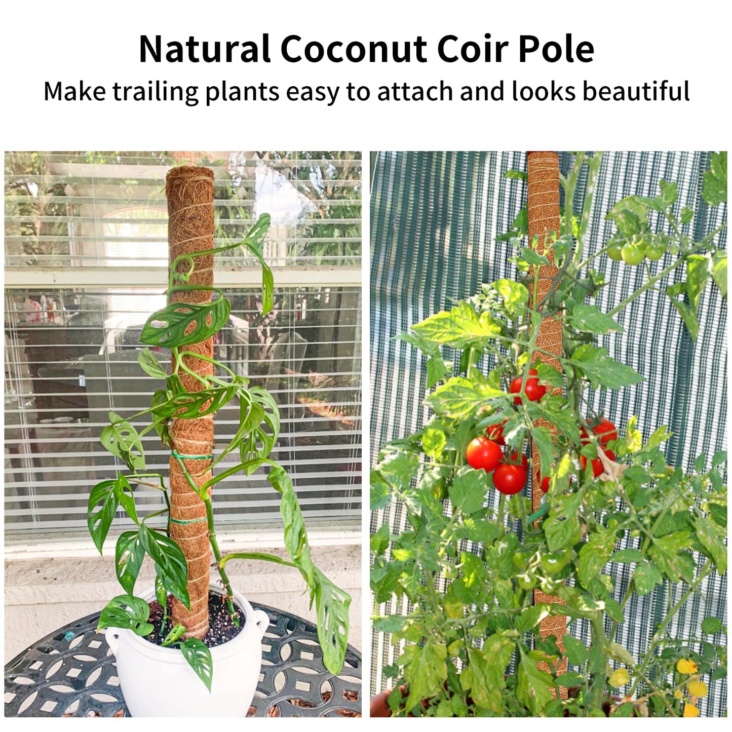 JJGoo Moss Pole for Plants Monstera,【4 Pack】 23.6 inch Plant Support Pole, Extendable Coir Totem Pole for Potted Plants Pothos,Train Indoor Climbing Plants to Grow Upwards - Extends to 74.6 Inches