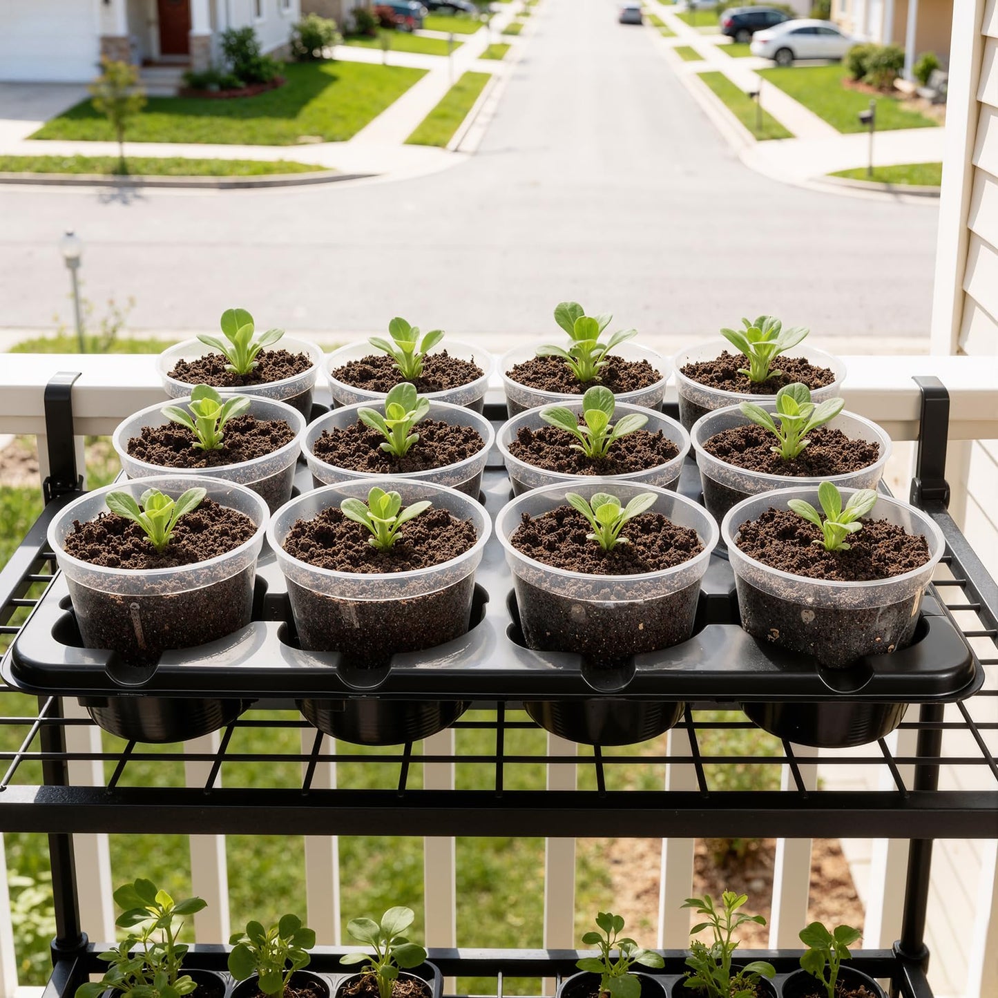 homenote 4 Inch Seed Starting Trays with Clear Nursery Pots, 2-Pack 12-Cell Seedling Starter Trays & 4" Nursery Pots 24 Pcs with Drainage, Plant Starter Germination Trays for Indoor Outdoor Growing
