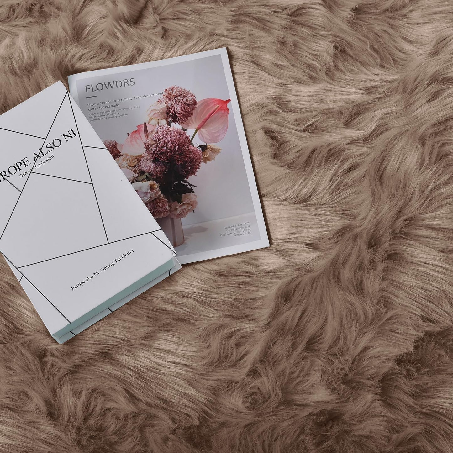 Goolela Sheepskin Area Rug 9x12 - Light Brown Beige - Fluffy Fuzzy Furry Carpet for Living Room Bedroom Faux Fur Rectangle