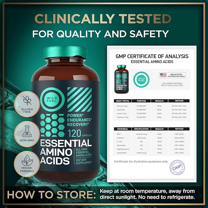 WILD FUEL Essential Amino Acids Supplement for Women and Men - All 9 BCAAs Amino Acid Complex for Power and Recovery - EAA Lysine, Tryptophan, Isoleucine - 2 Pack 240 Vegan BCAA Capsules