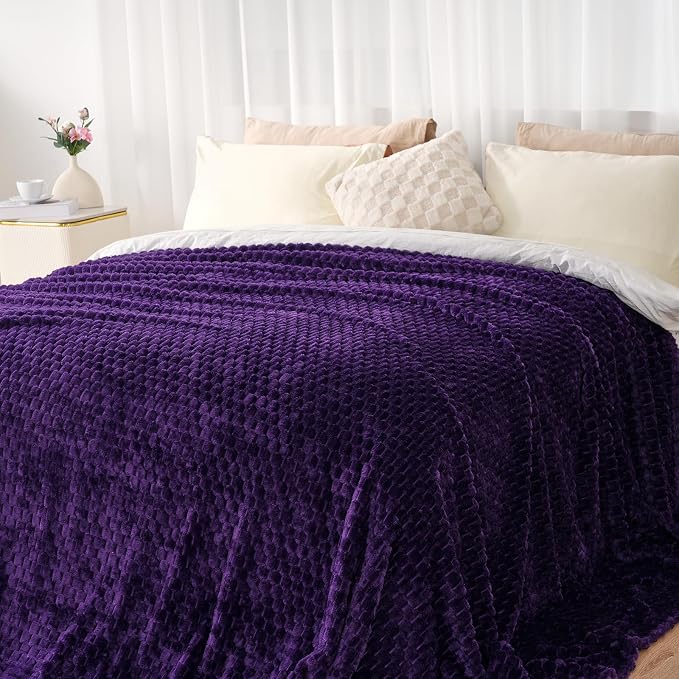 Zyrah Fleece Throws for Couch Super Soft Throw Blanket Lightweight Decorative Fuzzy Cozy Blankets for Sofa Chair Bed (A-Purple, Twin(60"x80"))