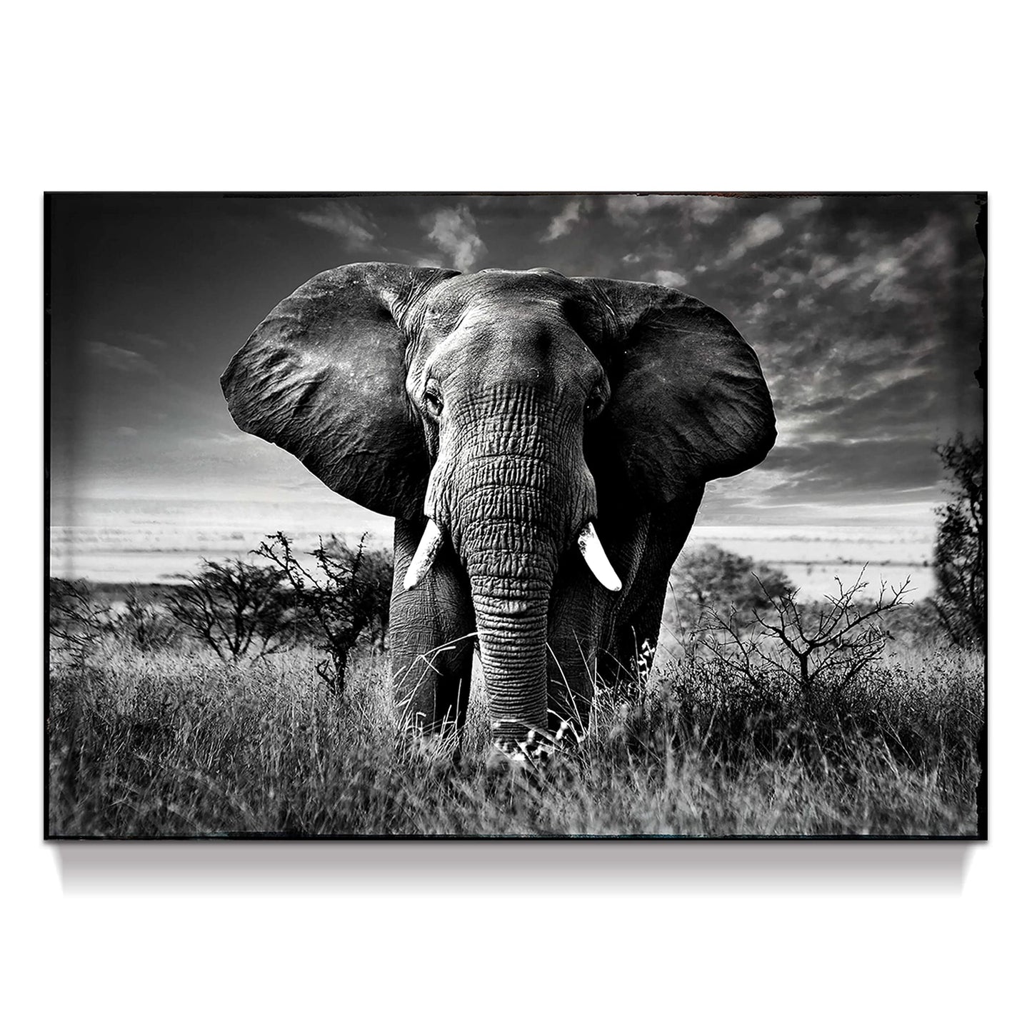 Elephant Black & White Wall Art - Rustic Canvas Painting - African Animal Picture - Natural Artwork for Bathroom & Bedroom Decor - 16x12 Inches
