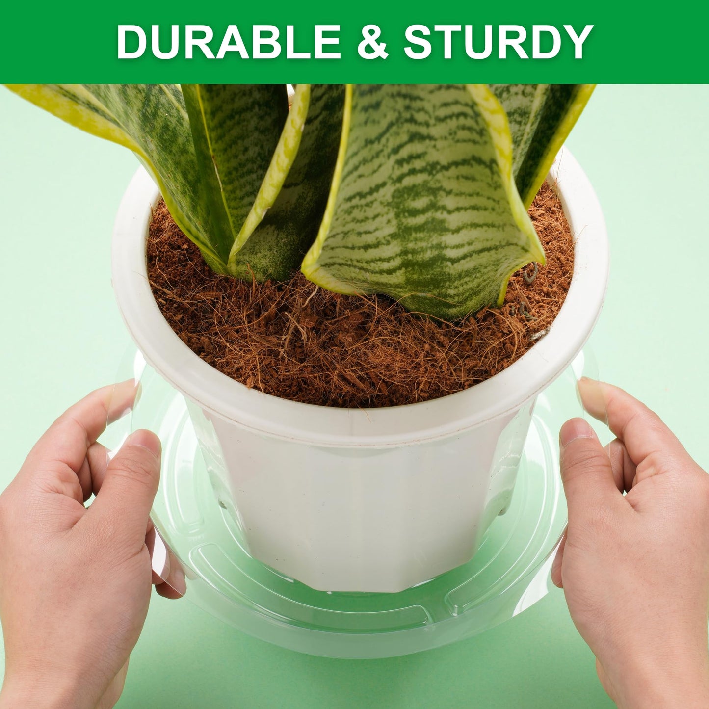 CATIFLIN 24 Pack Clear Plant Saucers - 6, 8, 10, 12 Inch Plastic Plant Trays for Pots, Flower Pot Saucers, Indoor & Outdoor Planter Drip Tray for Water Drainage & Protection
