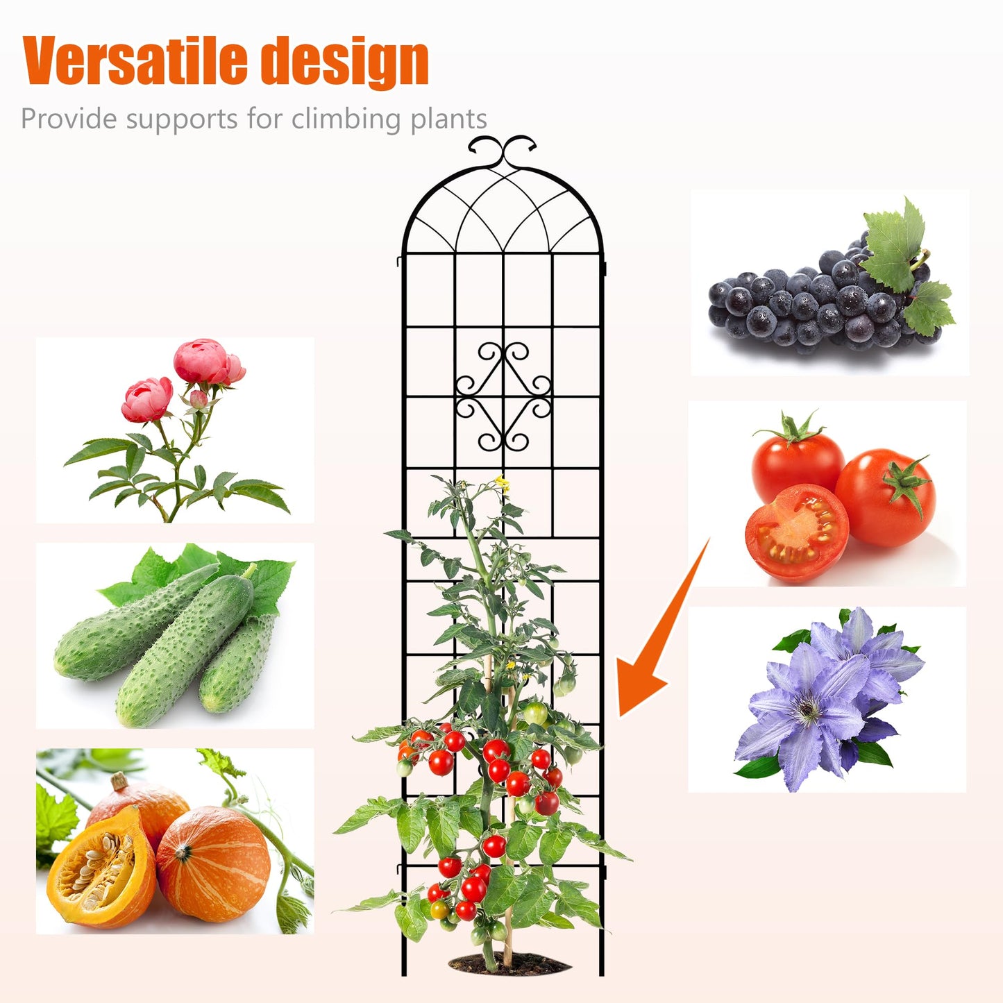 LZRS 2 Pack 78.7x20in Rustic Iron Arch Decoration Garden Trellis with Black Metal Coating – Perfect for Supporting Climbing Plants Outdoor, Roses, Vines, Flowers, and Vegetables.