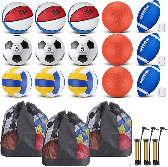 Leyndo 18 Pcs Sport Balls Bulk Set Basketball Football Volleyball Soccer Playground Baseball with Sport Equipment Bag Pump for Outdoor Indoor Practice Gift