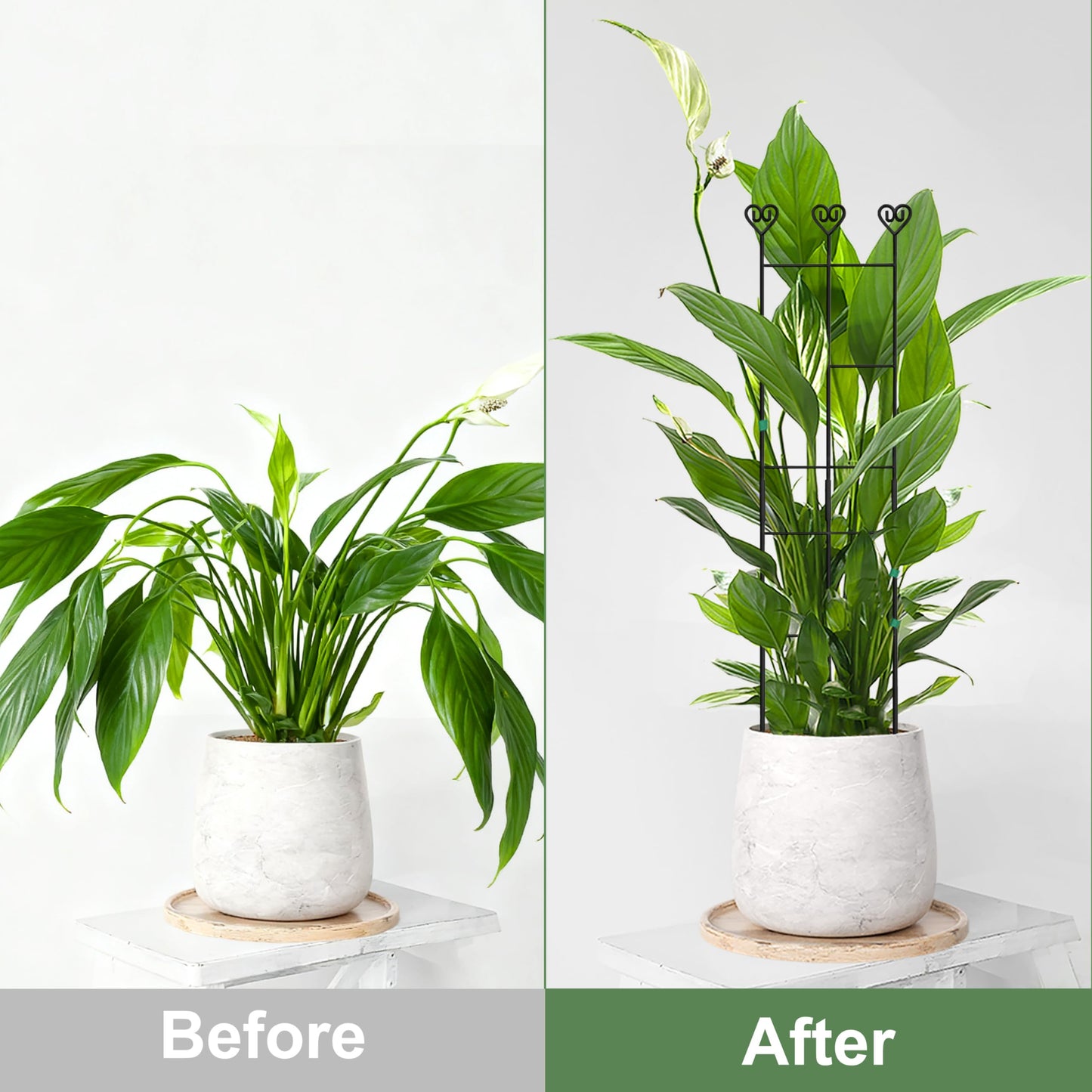 Coomin 4 Pack 32in Monstera Plant Support Stakes for Indoor Plants, Stackable Garden Trellis for Climbing Plants Outdoor, Metal Plant Climber Support for Pothos Philodendron Vine