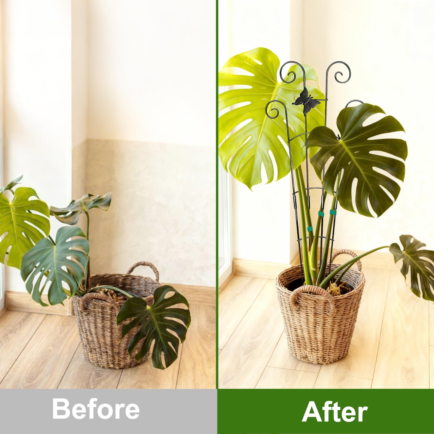 COOMIN 30'' Monstera Plant Support Outdoor, Metal Expandable Plant Supports for Indoor Plants, Garden Monstera Trellis for Climbing Plants Indoor, 4pcs
