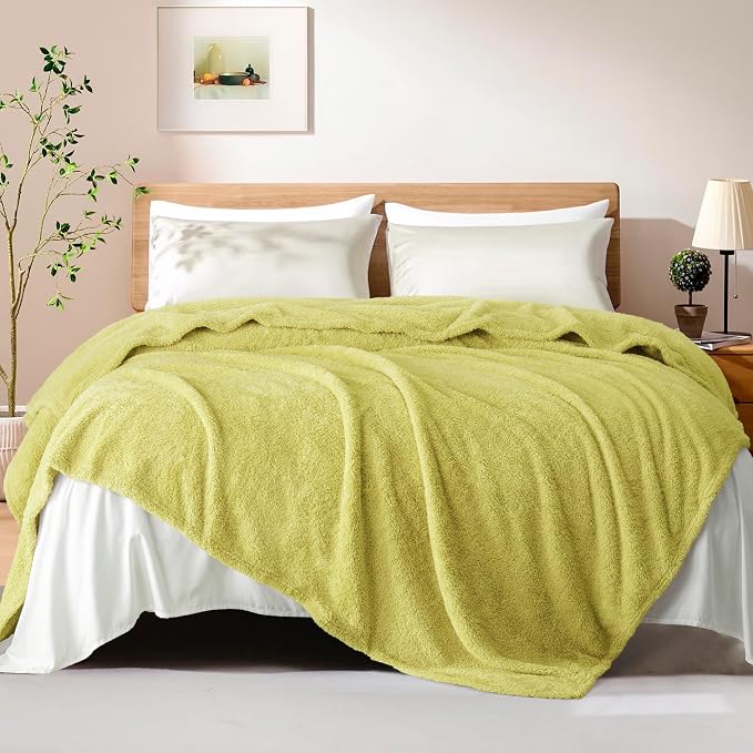 Exclusivo Mezcla Fleece King Size Bed Blanket, Ultra Soft, Lightweight and Fuzzy Light Green Blanket for Women, Home Decor, 90x104 Inches