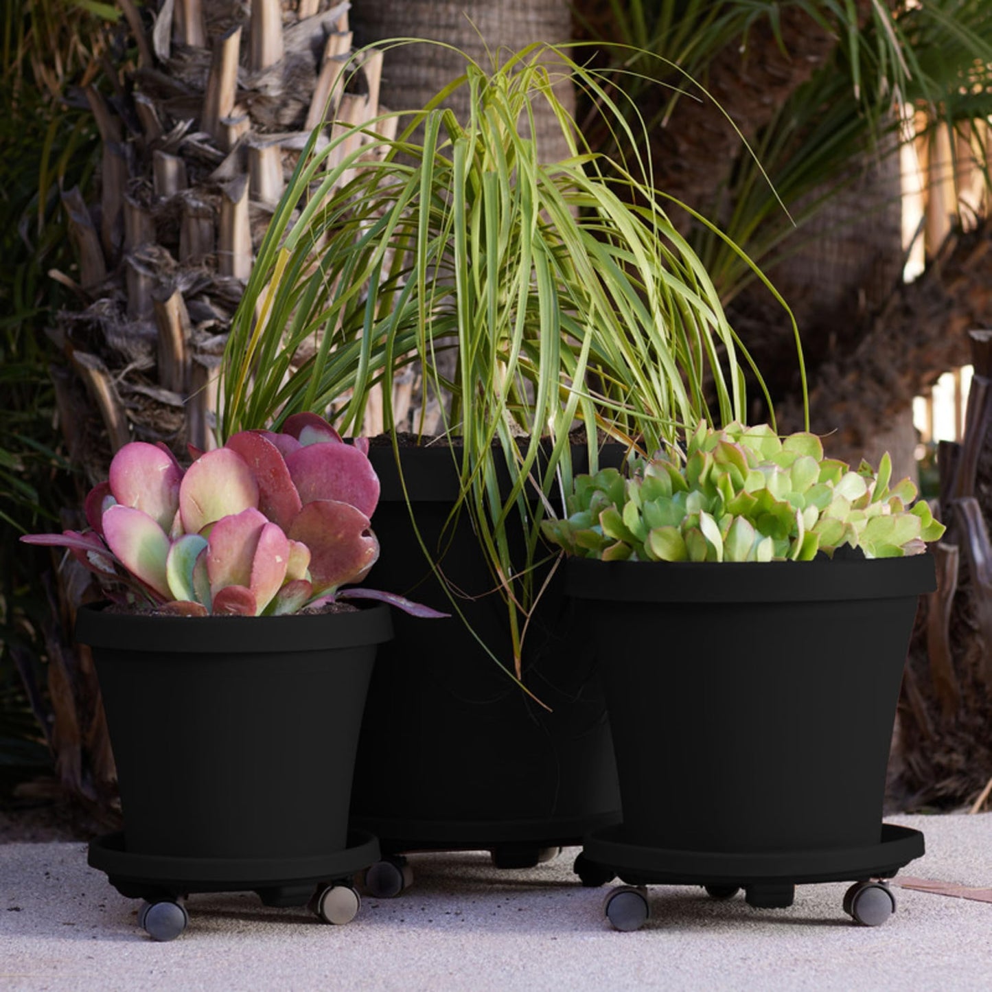 Bloem Round Planter Caddy with Wheels: 14" - Black - Durable Plastic Dolly, 360 Degree Wheel Movement, for Indoor and Outdoor Use, Gardening, 100 lb Capacity