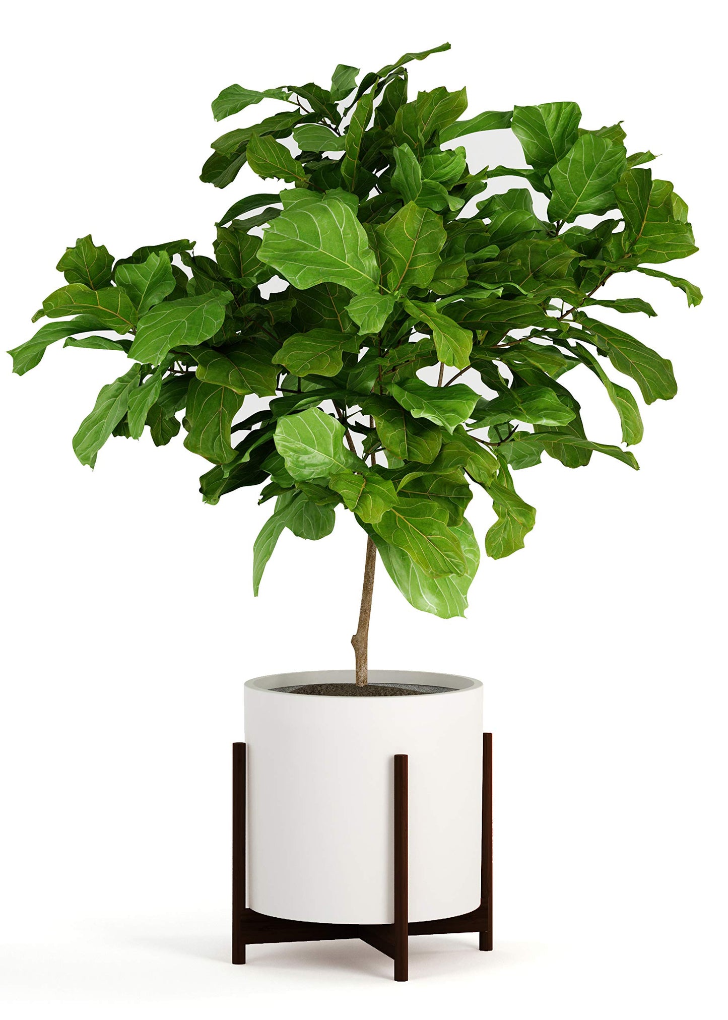 Fox & Fern Bamboo Plant Stand — 14.9 Inch Fixed Size Wooden Mid Century Planter Stand for Indoor Planters (Not Included); Extra Large Flower Pot Holder for Indoor Big Pots; Plug In Design; Dark Bamboo