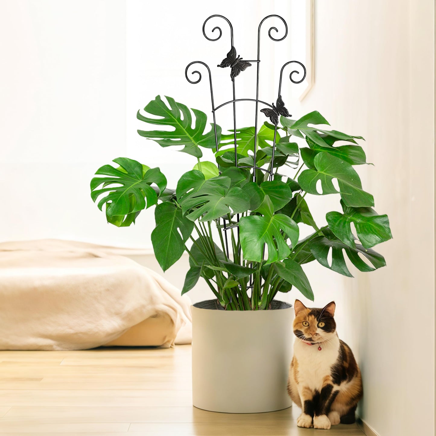 COOMIN 30'' Monstera Plant Support Outdoor, Metal Expandable Plant Supports for Indoor Plants, Garden Monstera Trellis for Climbing Plants Indoor, 4pcs