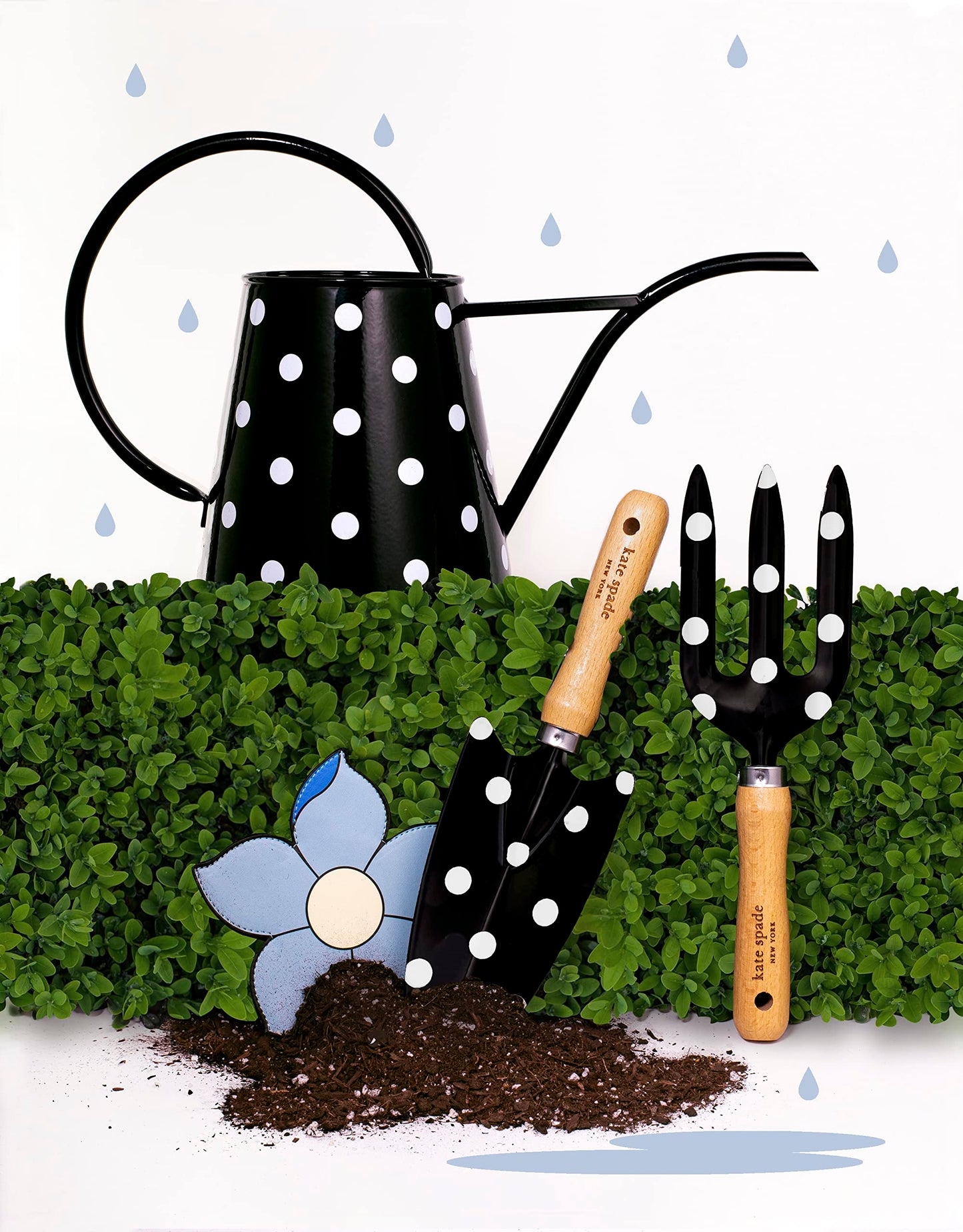 Kate Spade New York 2.5 Liter Indoor Watering Can, Metal Watering Can for House Plants, Cute Gardening Tool for Women, Picture Dot