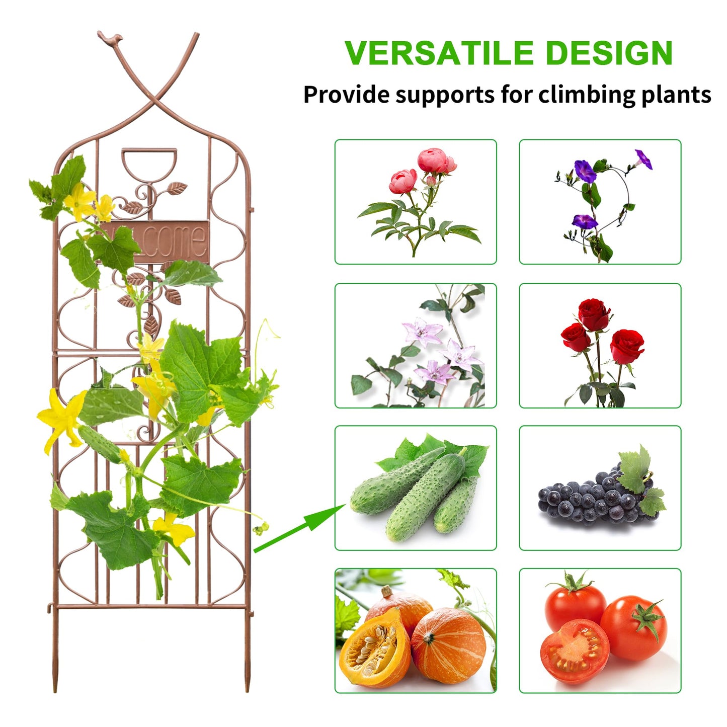 LZRS 2 Pack 59.5 * 18in Rustic Iron Arch Decoration Garden Trellis with Metal Coating – Perfect for Supporting Climbing Plants Outdoor, Roses, Vines, Flowers, and Vegetables, Brown
