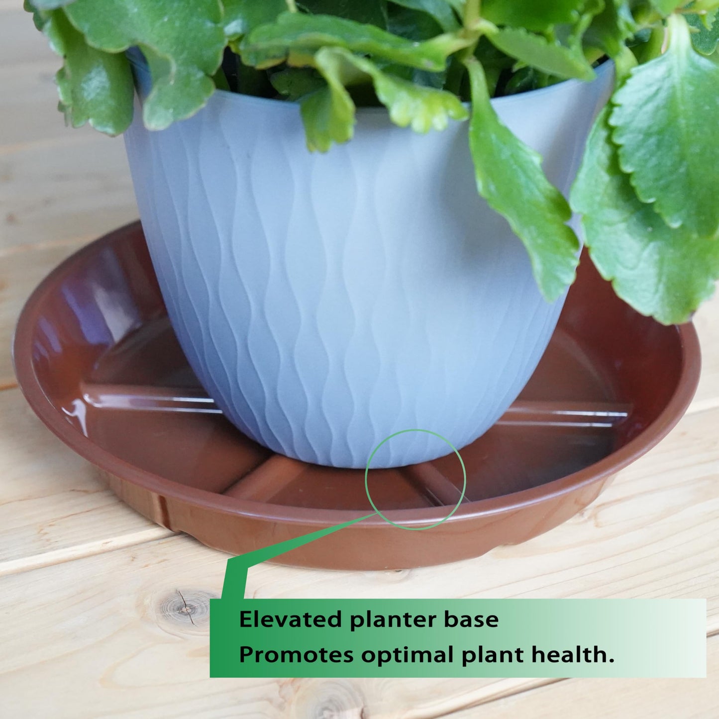 MSKIAUO Plant Saucer Pot Tray 8 inch, 6 Packs Flower Planter Saucers, Heavy Drainage Tray for Indoors No Holes, Plastic Plant Saucers Water Catcher for Pots Base, Chocolate