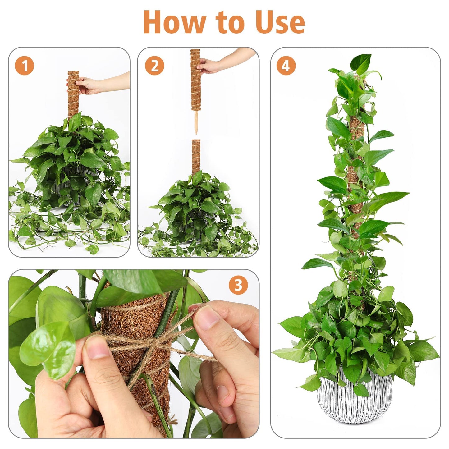JJGoo Moss Pole for Plants Monstera,【6 Pack】 17 inch Plant Support Pole, Extendable Coir Totem Pole for Potted Plants Pothos, Train Indoor Climbing Plants to Grow Upwards