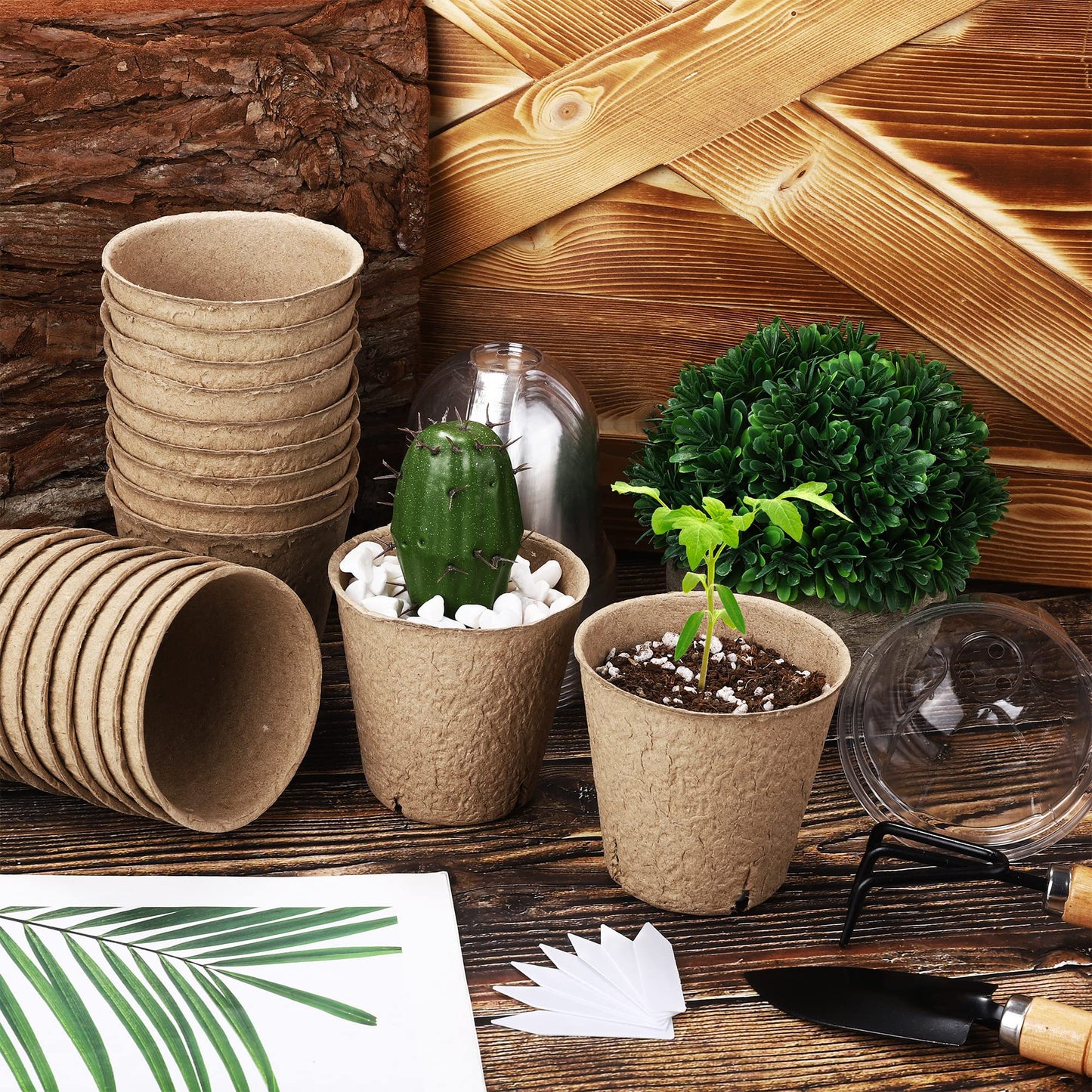 Hahood 60 Set Plant Seeding Pots with Humidity Dome, 3 Inch Brown Biodegradable Seed Starter Pots, Plant Nursery Pots with Plant Labels for Seedlings, Garden Vegetable Germination