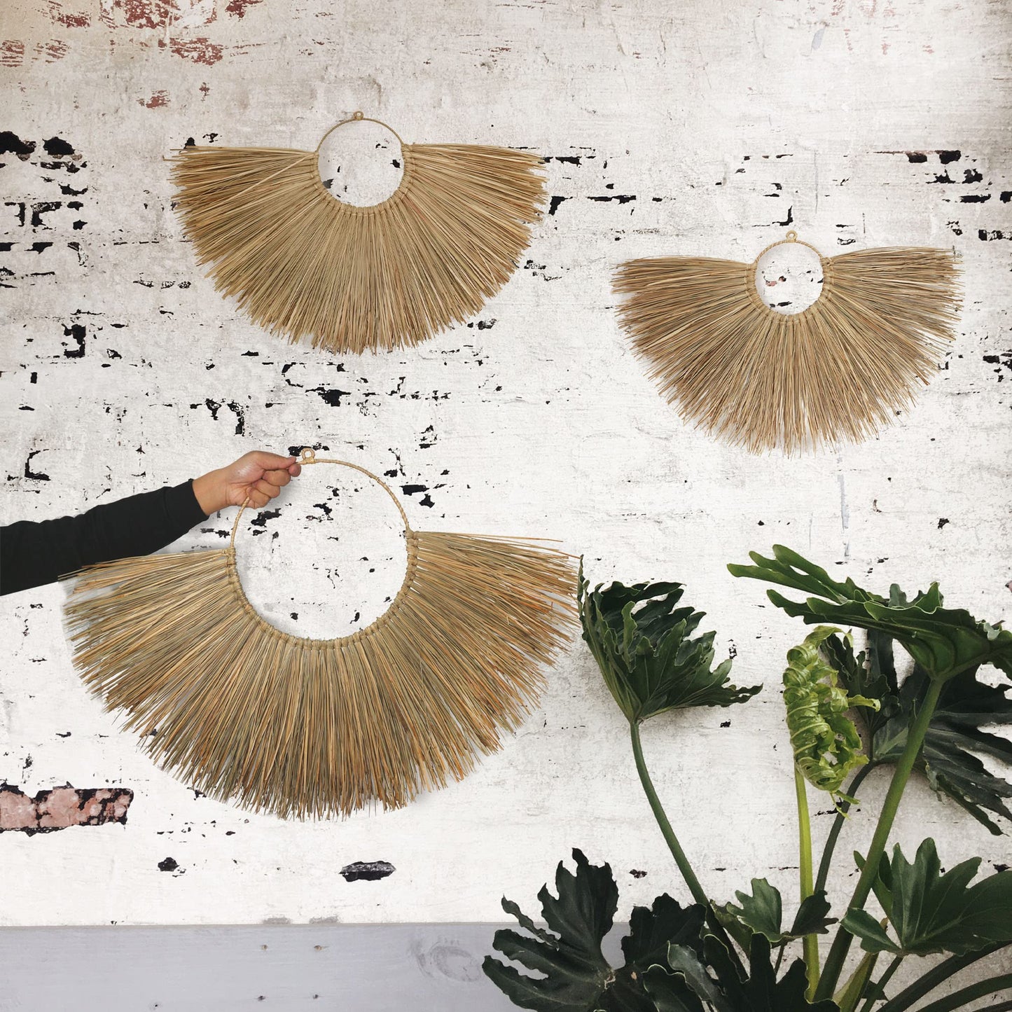 PEMAR Rustic Boho Wall Hanging Decor: Set of 3 Woven Seagrass Fans - Perfect for Living Room, Bedroom & Headboard Art (XL: 35.4" D, L: 27.6" D, M: 19.7" D)