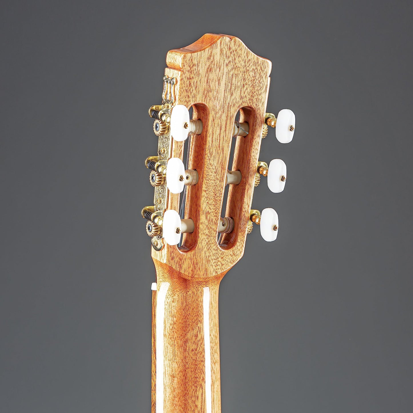 Cordoba C5 Classical w/Solid Cedar Top