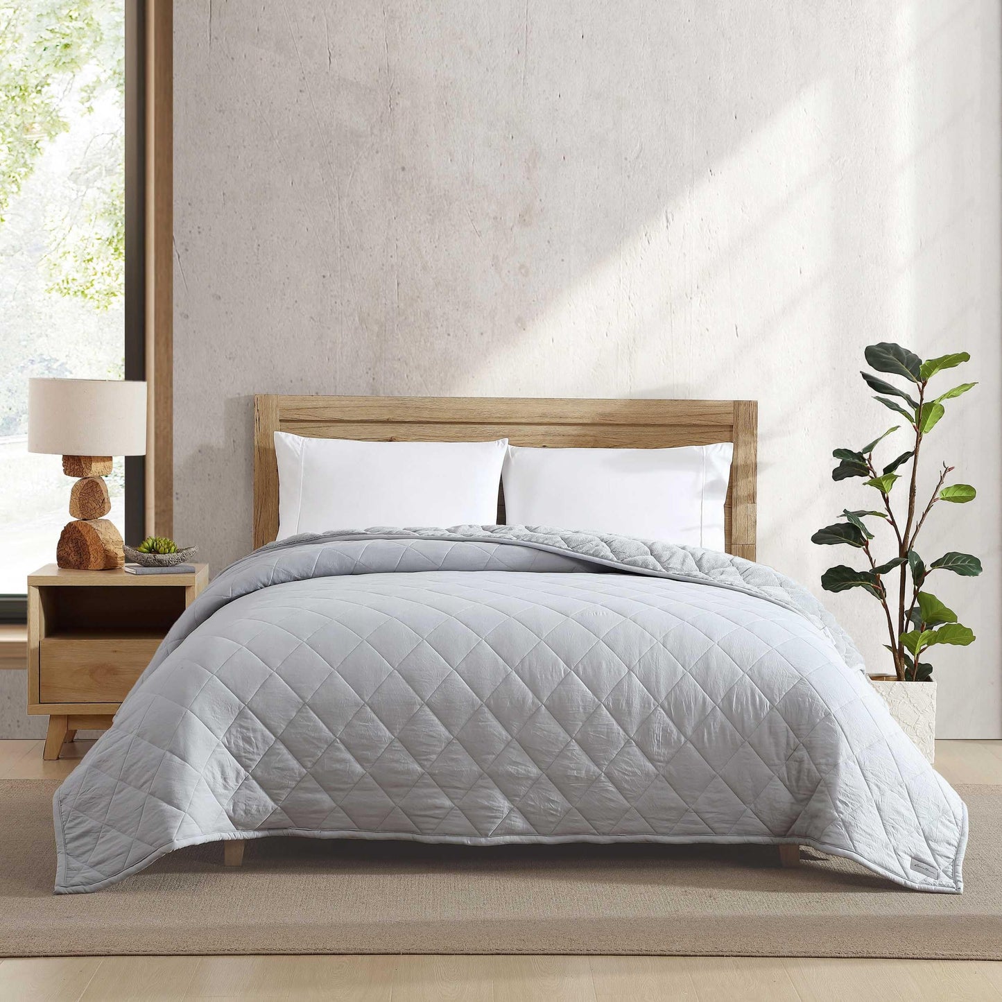 Eddie Bauer - Queen Size Blanket, Soft & Reversible Plush Bed Blanket, Brushed for Extra Softness with a Plush Smooth Texture, Throw Blanket for Couch or Bed (Classic Solid Grey)