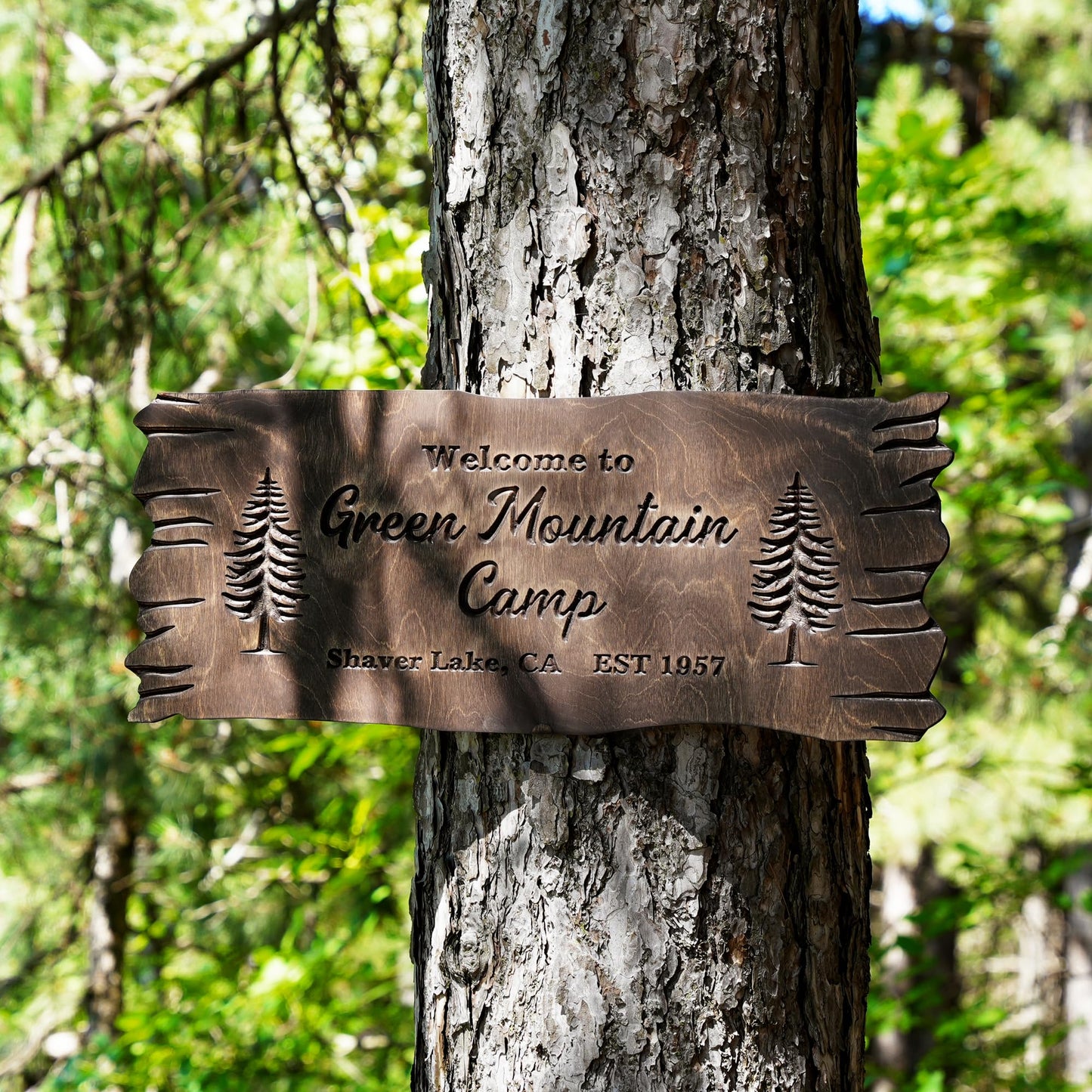 Custom Wooden Name Sign for Outdoors – Personalized Beech Wood Plaque with Live Edge – Engraved Weatherproof Sign for Yard, Cabin, RV, Trailer, Campsite or Tree – Handcrafted Rustic Camping Decor