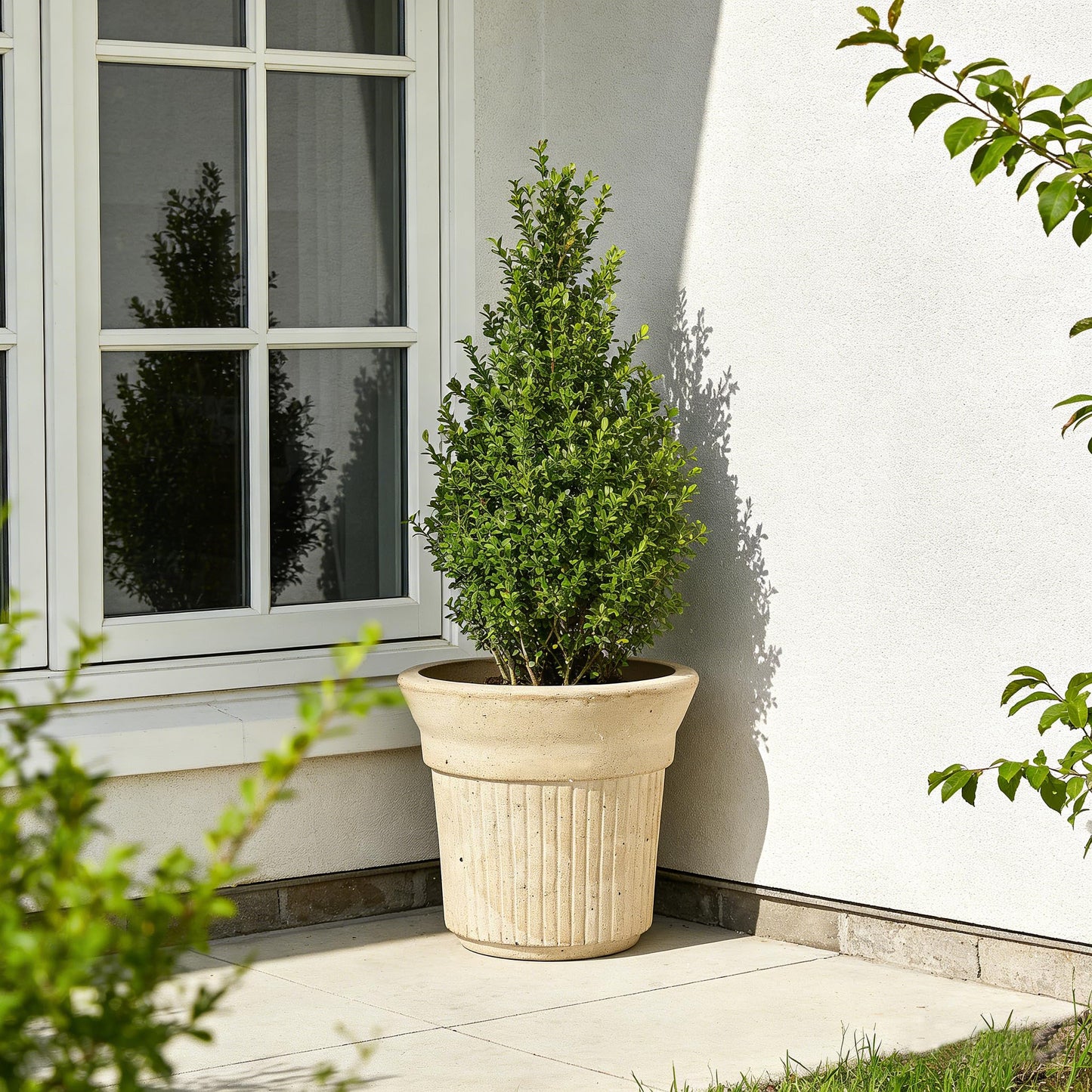 SHIMOST 8 Inch Clay Planter with Saucer Unglazed White Terracotta Pot with Drainage Hole Rustic Weather-Resistant Plant Pot for Indoor Outdoor Use Ideal for Home Office Patio Garden