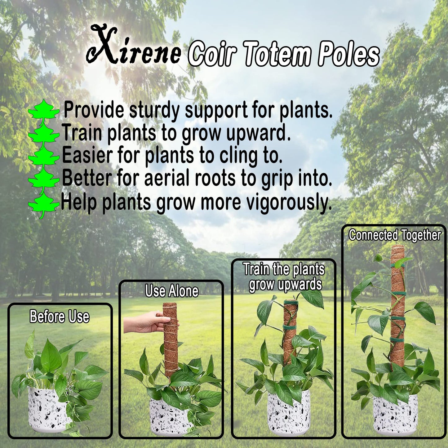 XIRENE 4 Pcs Moss Pole Extending to 51.1 Inches for Plants Monstera, Coco Coir Moss Sticks for Indoor Plants Support Stakes for Climbing Plants Grow Upward with Jute Rope, Tool Set and Hook-Loop Strip
