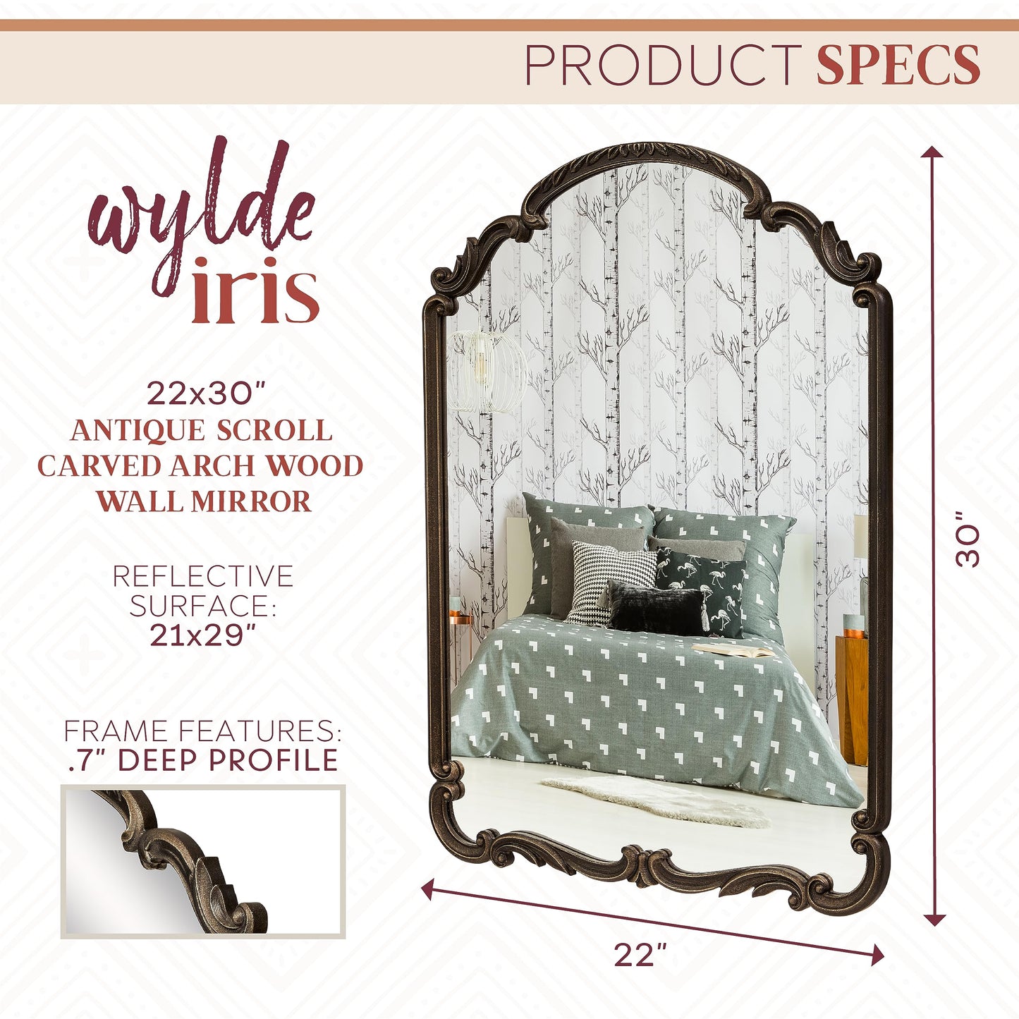 Wylde Iris English Estate Carved Arch Wood Wall Mirror, Mirror for Entryway, Living Room, Bathroom, Antique Black, 22x30