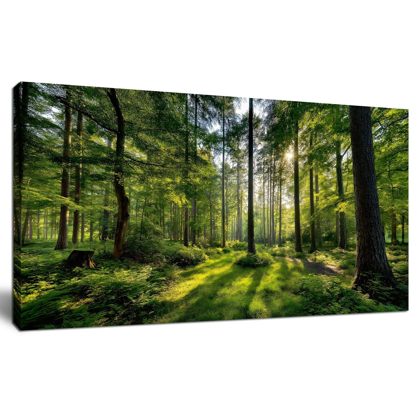 Tarfupth Large Forest Wall Art for Living Room Green Woodland Landscape with Sunlight Modern Nature Wall Decor for Bedroom Office Home Decor 20"x40"