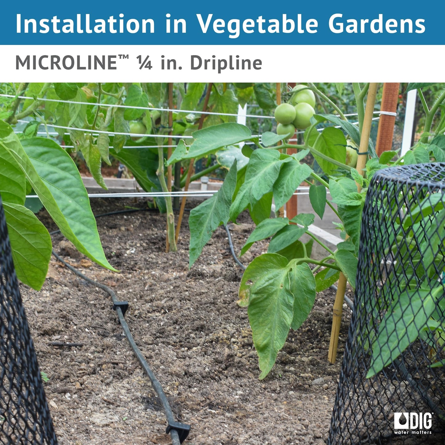 DIG ML-106, 100', ¼” MICROLINE Dripline - 6” Spacing, Color Black – UV Protected Drip Line