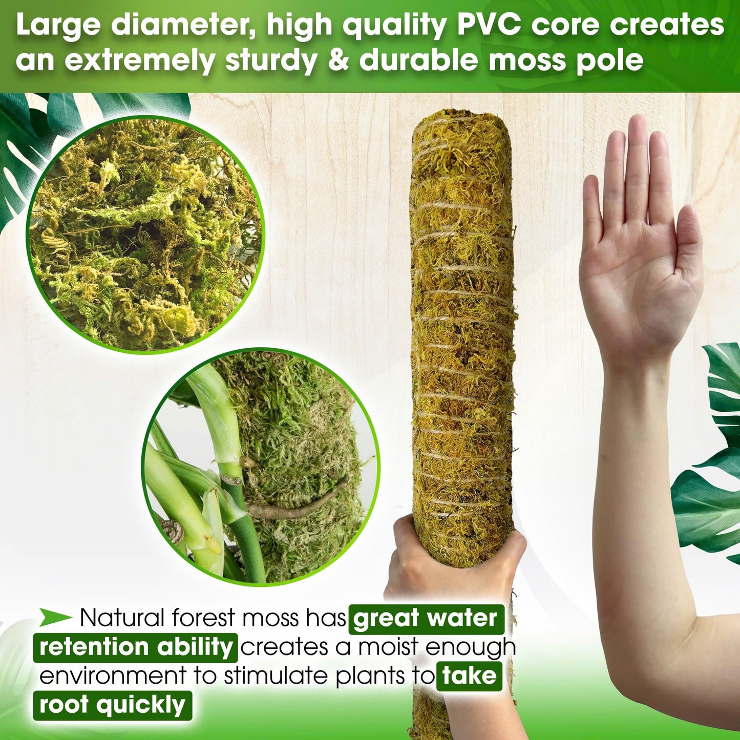 DUSPRO 80 Inches Large Moss Pole for Plants Monstera, Plant Stakes for Indoor Plants, Monstera Plant Support, Plant Support/Plant Pole for Big Climbing Plants Indoor (1pc., 80'')