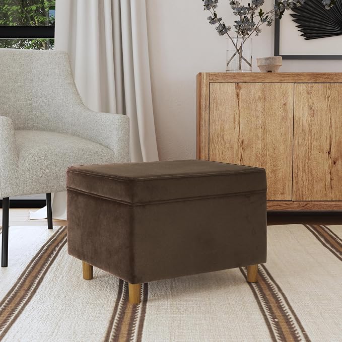 Spatial Order Home Decor | Dinah Collection Modern Storage Ottoman | Ottoman with Storage for Living Room & Bedroom(Chocolate Brown Velvet)