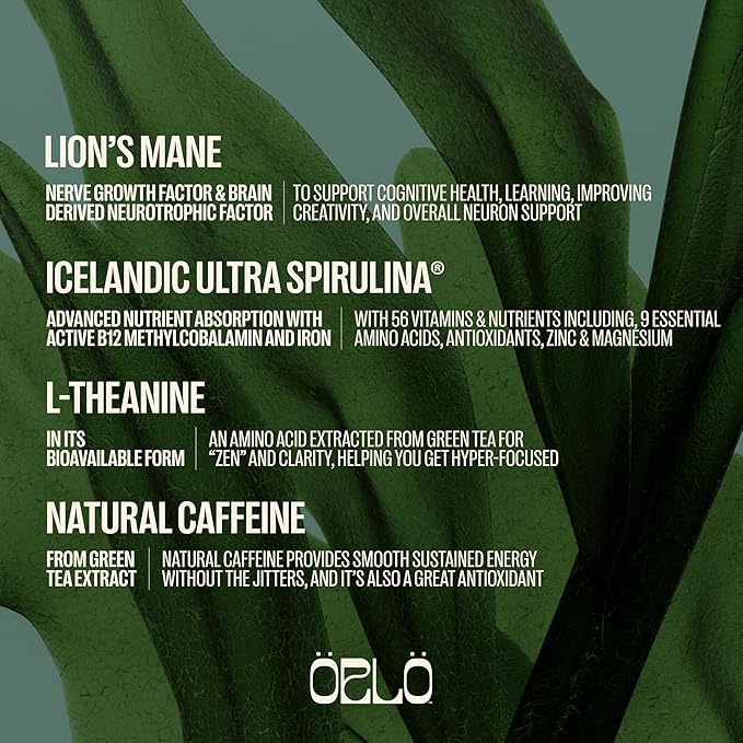 ORLO BRAIN PERFORMANCE BAR ??Vegan Protein Bars for Brain & Energy Support ??Focus & Memory, Pre & Post Workout Recovery ??Gluten Free Snack with L-Theanine, Lions Mane, Spirulina & More (SINGLE BAR)
