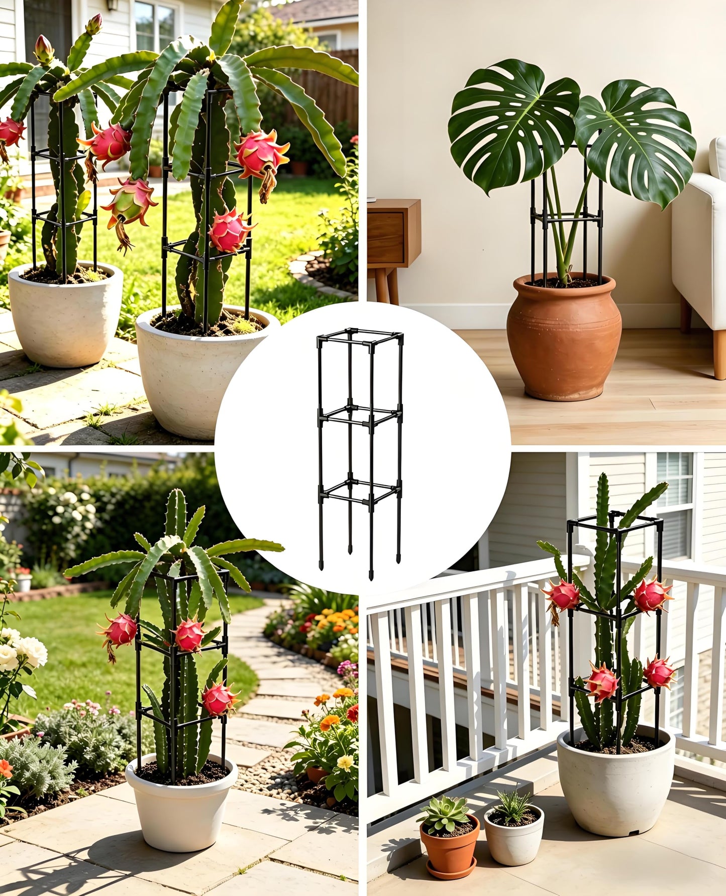 Dragon Fruit Trellis for Climbing Plants Indoor Outdoor, Heavy Duty Metal Adjustable Vertical Garden Support for Indoor Outdoor Potted Plants, Tomato, Cactus, Roses,Vines(10 * 10 * 47inch,1PC)