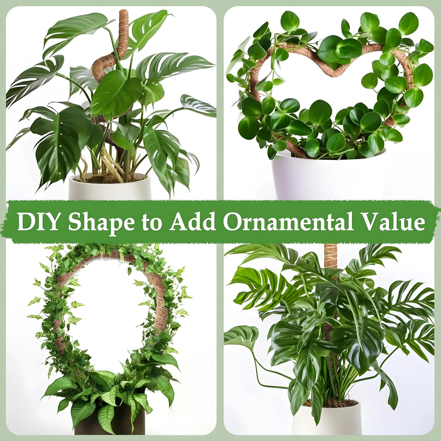 2-Pack 48'' Bendable Moss Poles for Monstera & Climbing Plants – Flexible Trellis Plant Support Stakes with Accessories – Indoor & Outdoor Use