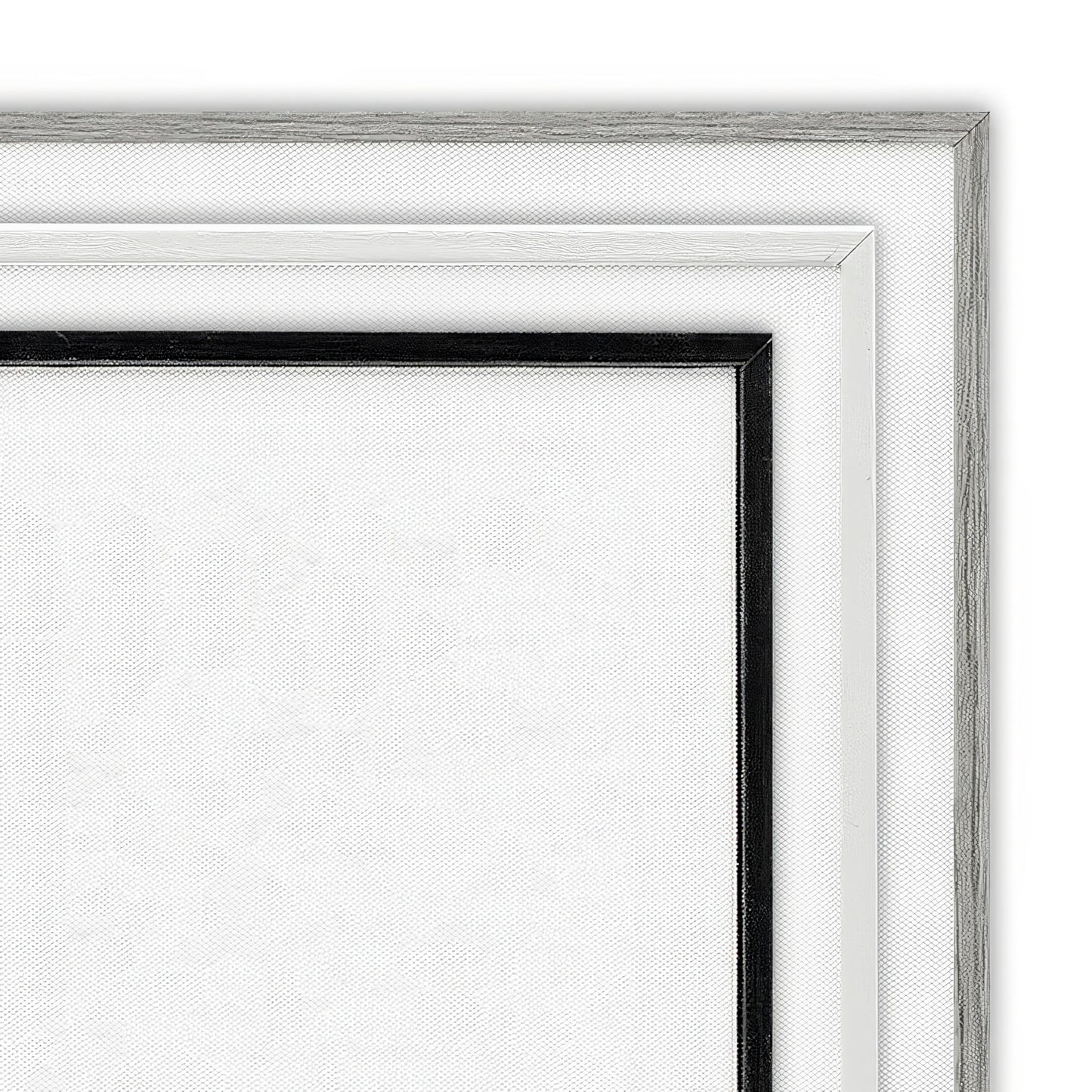Stupell Industries 'Scientific Botanical Plant', Framed Giclee Art, Black, 16 x 20 Inches, Easy to Hang and Sturdy, Made in USA, by Unknown Artist
