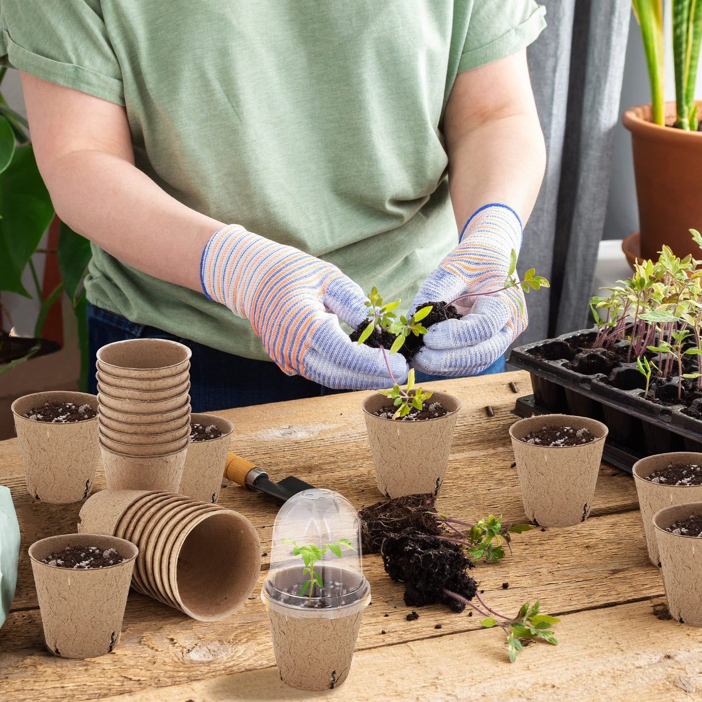 Hahood 60 Set Plant Seeding Pots with Humidity Dome, 3 Inch Brown Biodegradable Seed Starter Pots, Plant Nursery Pots with Plant Labels for Seedlings, Garden Vegetable Germination