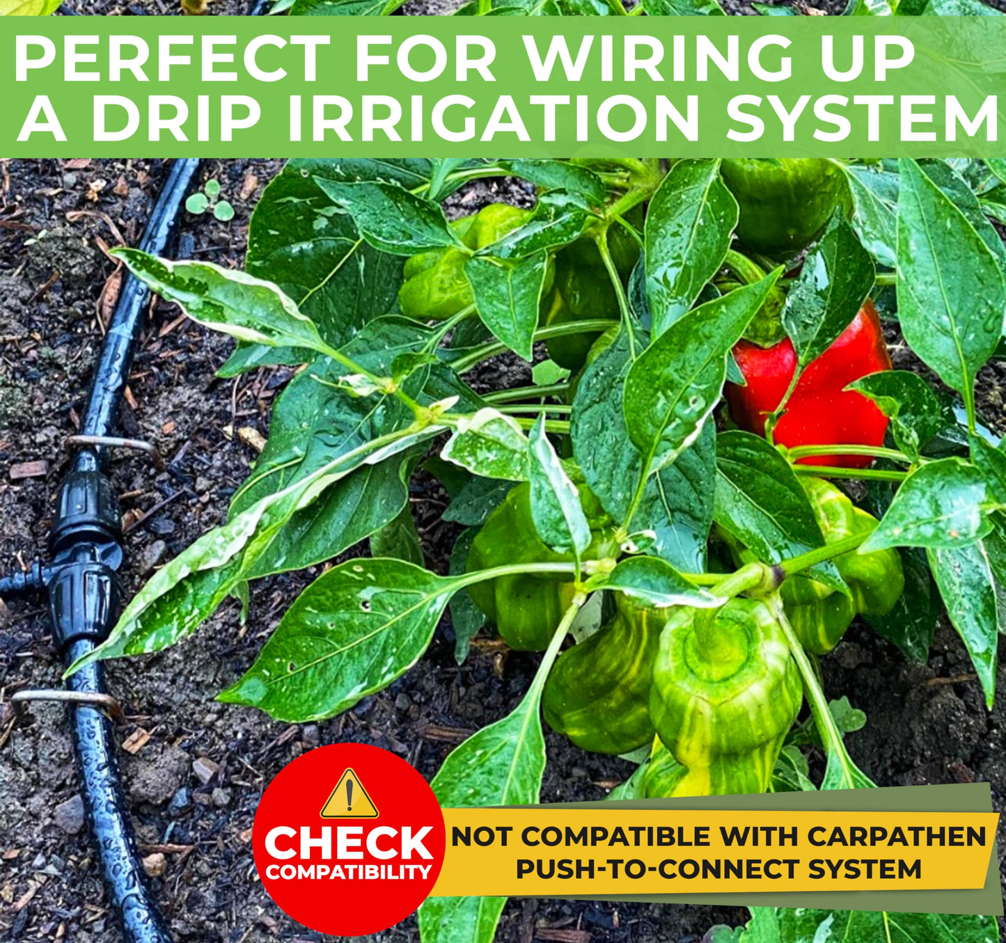 CARPATHEN Drip Irrigation Tubing - 200 ft Black Mainline - (5/16" ID - 7/16" OD) - PVC Water Line