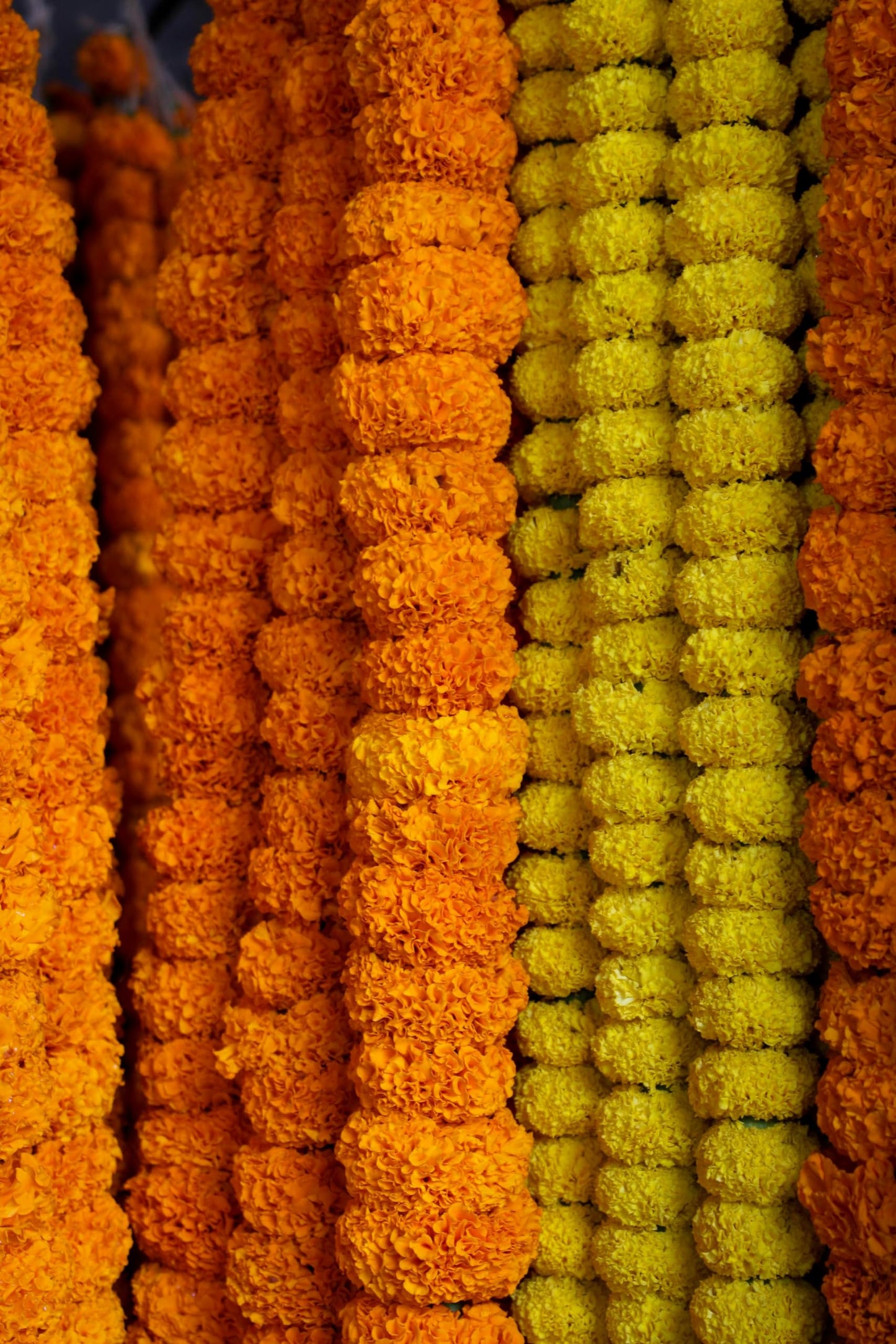 zig zag Artificial Marigold Garland (5pcs Pack) - Ideal for Weddings,Birthday, Christmas Decorations, and Diwali Celebrations, Faux Garlands 5 Strings - 4.5-5 Ft Long (Yellow)
