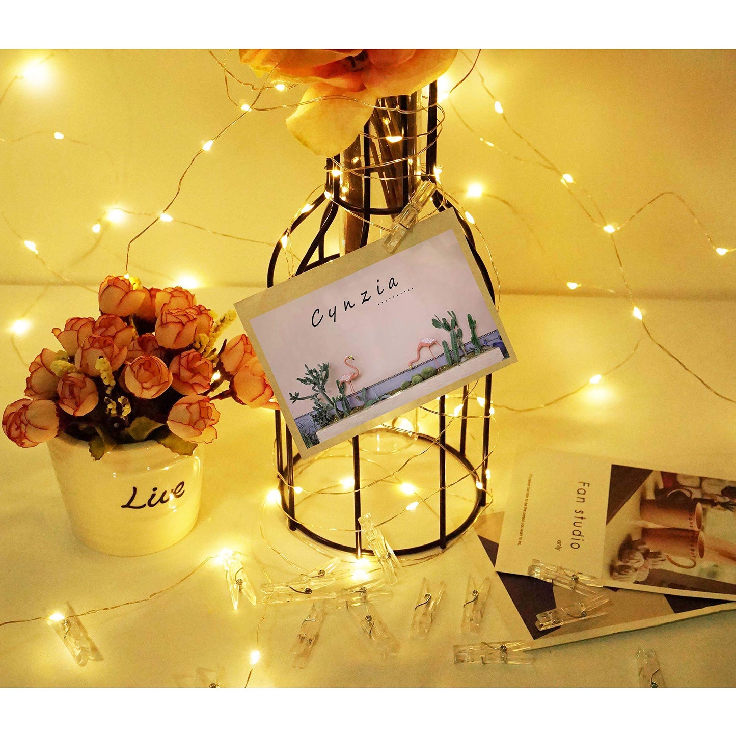 Cynzia Photo Clip Lights USB Powered - 100 LED Fairy String With 50 Clear Clips, Silver Wire for Pictures Hanging, Photo Wall, Wedding Party, Christmas Decor